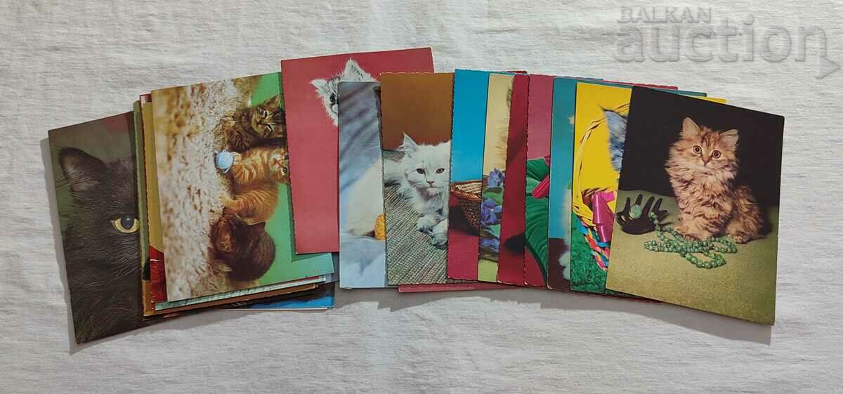 KITTENS POST CARDS LOT 22 PCS