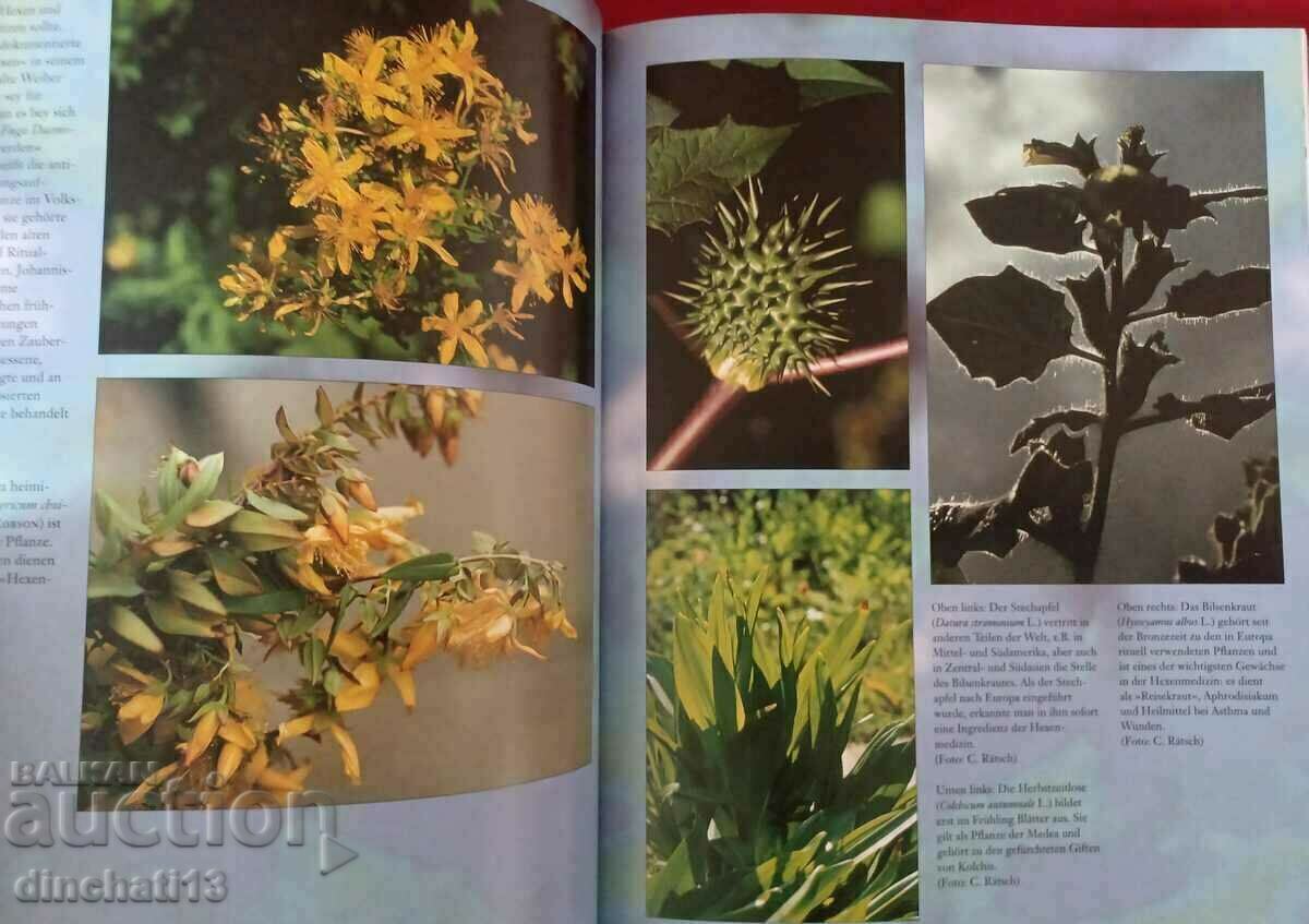 Delivery of Hexenmedizin Claudia Müller-Ebeling, Christian Rätsch, Wolf- Delivery of Hexenmedizin Claudia Müller-Ebeling, Christian Rätsch, Wolf-