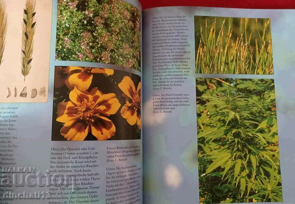 Hexenmedizin Claudia Müller-Ebeling, Christian Rätsch, Wolf- - 5 Hexenmedizin Claudia Müller-Ebeling, Christian Rätsch, Wolf- - 5