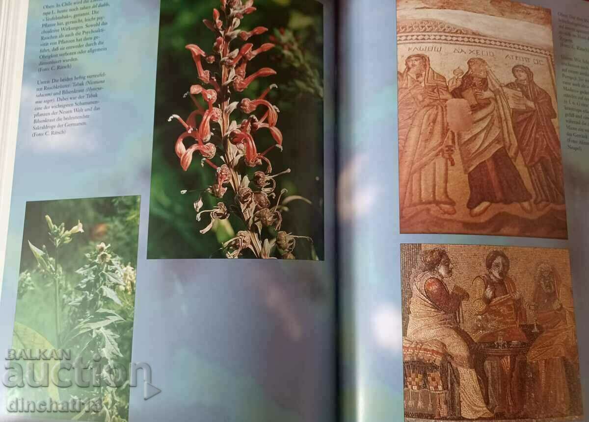 Hexenmedizin Claudia Müller-Ebeling, Christian Rätsch, Wolf- - 7 Hexenmedizin Claudia Müller-Ebeling, Christian Rätsch, Wolf- - 7