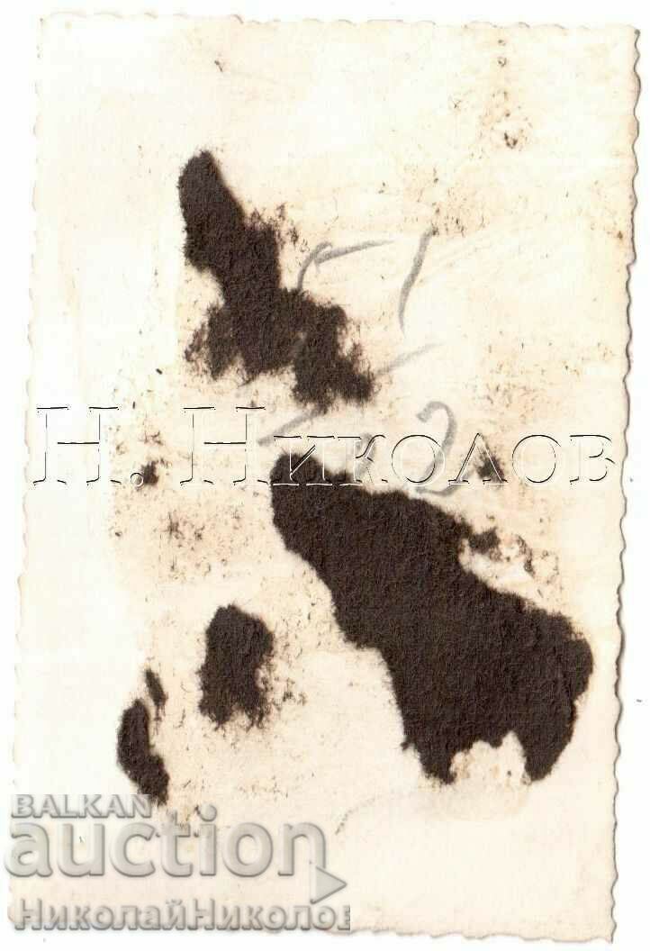 FOTO MICI VECHI SOFIA G914 STRADA MARIA LOUISA cu preț € 2.00 | 3.91 BGN FOTO MICI VECHI SOFIA G914 STRADA MARIA LOUISA cu preț € 2.00 | 3.91 BGN