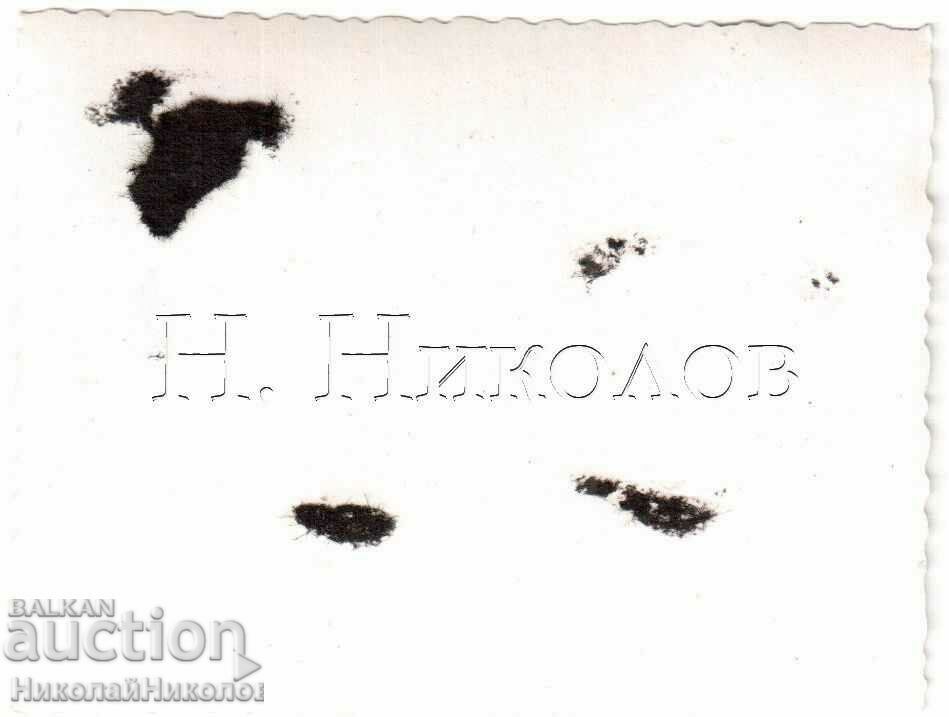 LITTLE OLD PHOTO KYUSTENDIL YOUTH OUT OF TOWN G917 with price 3.00 BGN | € 1.53 LITTLE OLD PHOTO KYUSTENDIL YOUTH OUT OF TOWN G917 with price 3.00 BGN | € 1.53