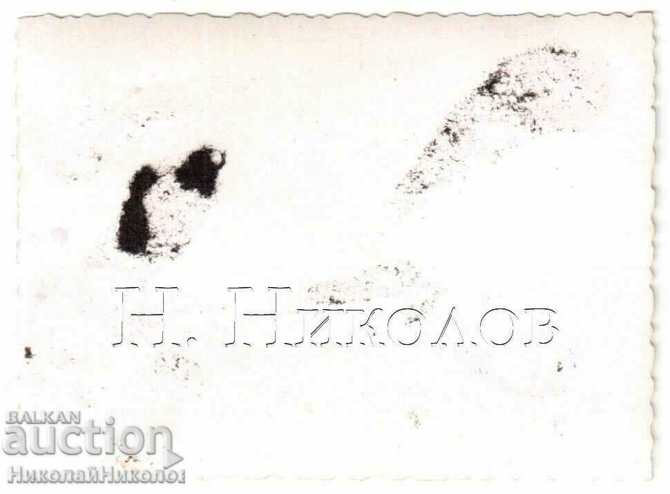 LITTLE OLD PHOTO KYUSTENDIL YOUTH OUT OF TOWN G918 with price 3.00 BGN | € 1.53 LITTLE OLD PHOTO KYUSTENDIL YOUTH OUT OF TOWN G918 with price 3.00 BGN | € 1.53