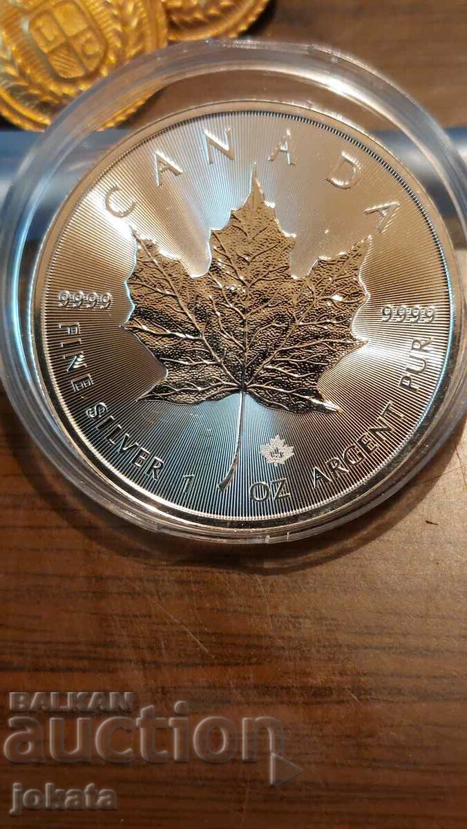 1 ounce of silver