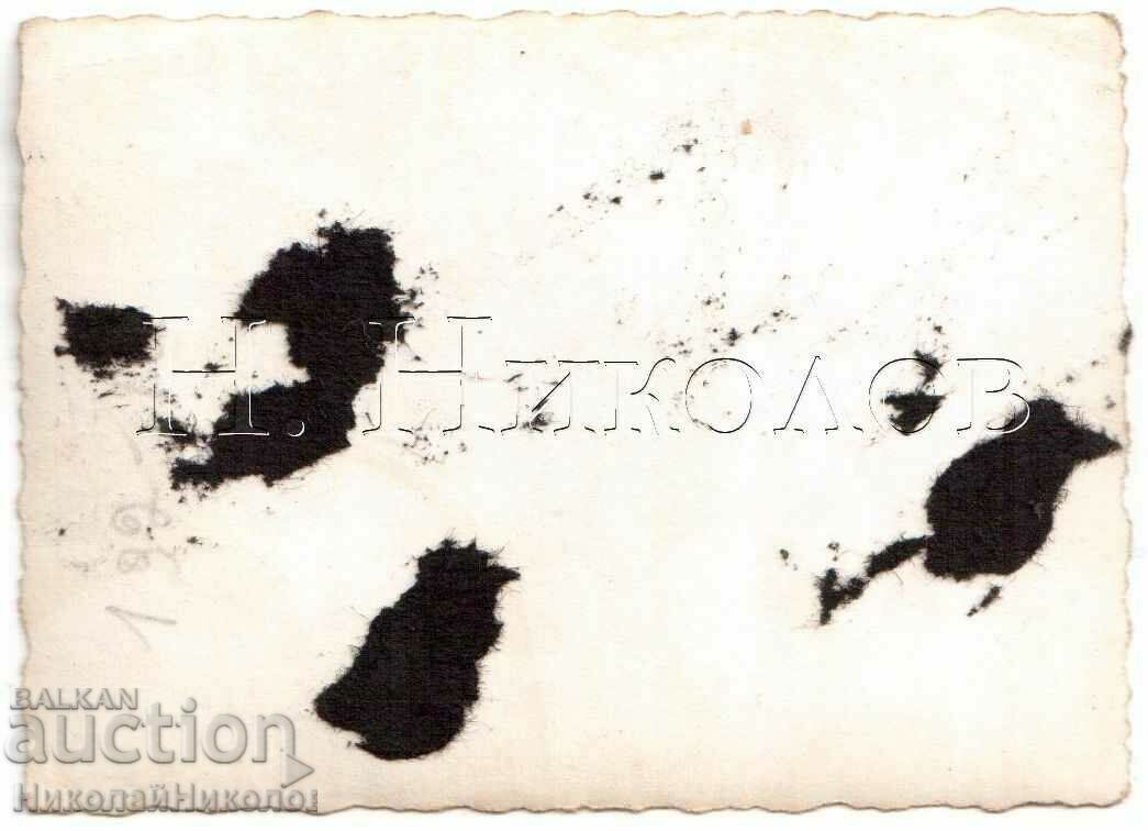 FOTO MICĂ VECHE A TINERETULUI KYUSTENDIL PE PIATA VELBAZH G920 cu preț 3.00 BGN | € 1.53 FOTO MICĂ VECHE A TINERETULUI KYUSTENDIL PE PIATA VELBAZH G920 cu preț 3.00 BGN | € 1.53