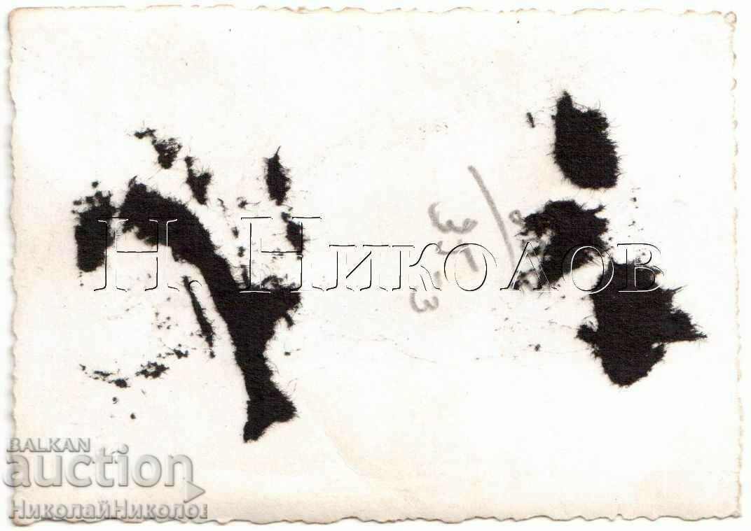 SMALL OLD PHOTO OF KYUSTENDIL YOUTH ON VELBUZD SQUARE G921 with price 3.00 BGN | € 1.53 SMALL OLD PHOTO OF KYUSTENDIL YOUTH ON VELBUZD SQUARE G921 with price 3.00 BGN | € 1.53