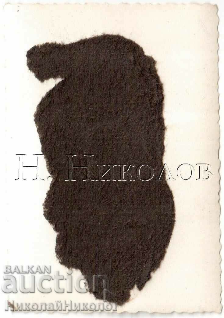 SMALL OLD PHOTO PINEAPPLE WINTER LANDSCAPE G930 with price 5.00 BGN | € 2.56 SMALL OLD PHOTO PINEAPPLE WINTER LANDSCAPE G930 with price 5.00 BGN | € 2.56