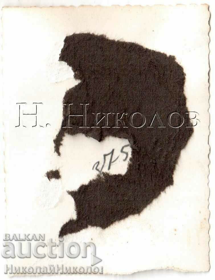 LITTLE OLD PHOTO PINEAPPLE WINTER LANDSCAPE G931 with price 5.00 BGN | € 2.56 LITTLE OLD PHOTO PINEAPPLE WINTER LANDSCAPE G931 with price 5.00 BGN | € 2.56