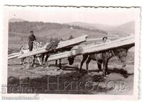 SMALL OLD PHOTO CARRYING WOOD BY HORSE G935