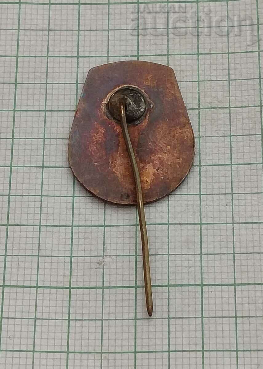 HCP POZNAN POLAND 125 YEARS COMPANY BADGE EMAIL with price 5.00 BGN | € 2.56