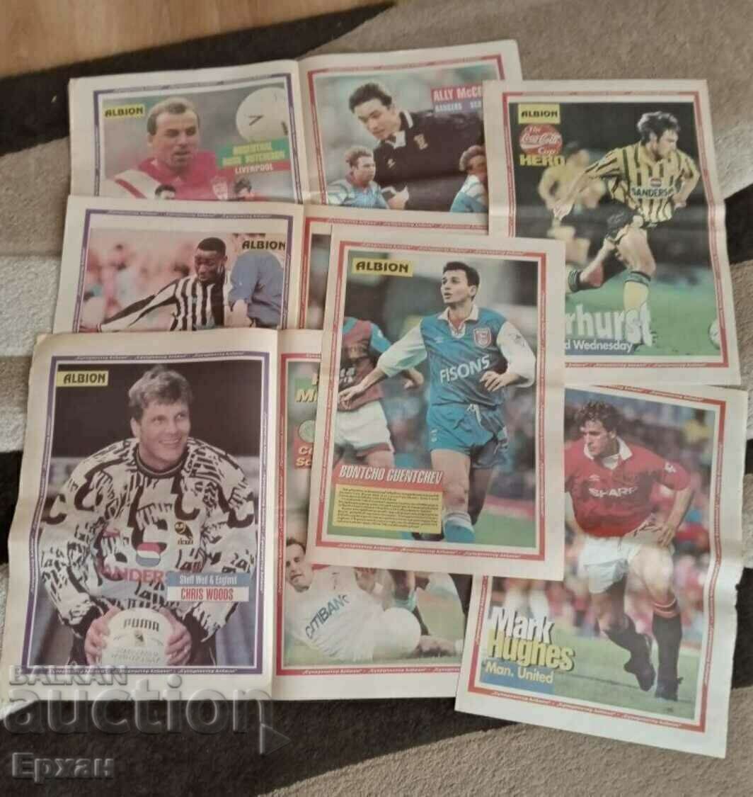 Auction Football Albion Auction Football Albion