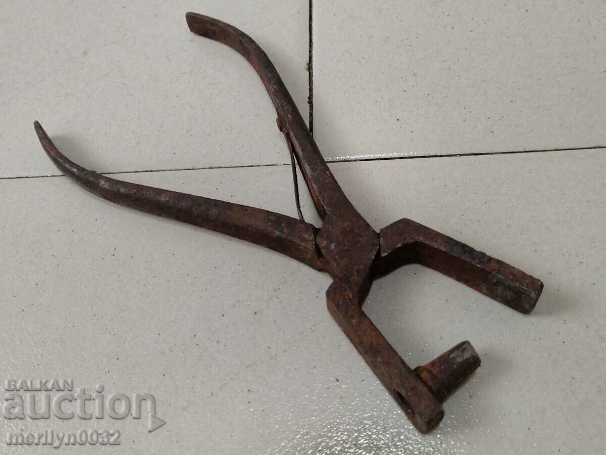 Cleste profil Zamba cu preț 39.00 BGN | € 19.94