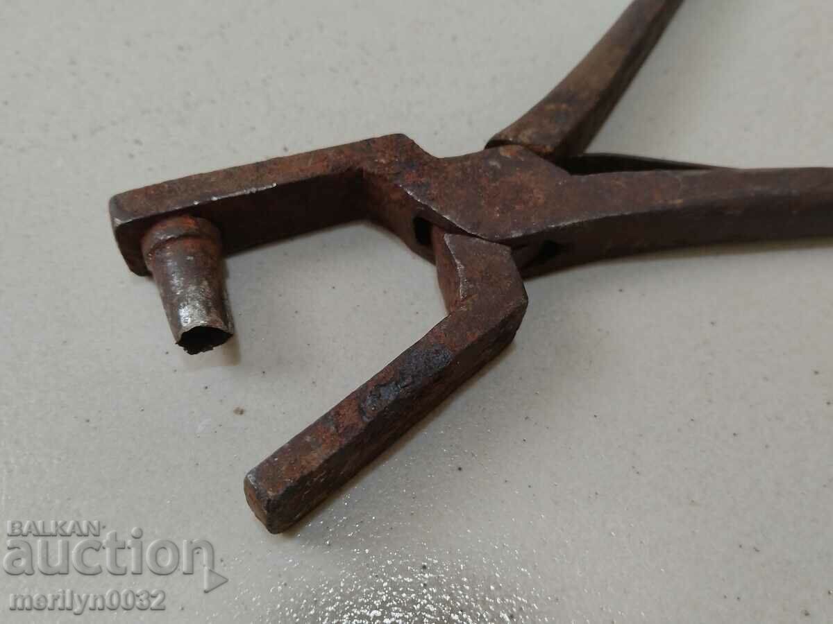 Livrarea Cleste profil Zamba