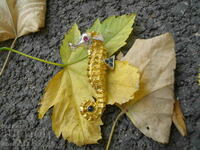 OLD SEA HORSE BROOCH