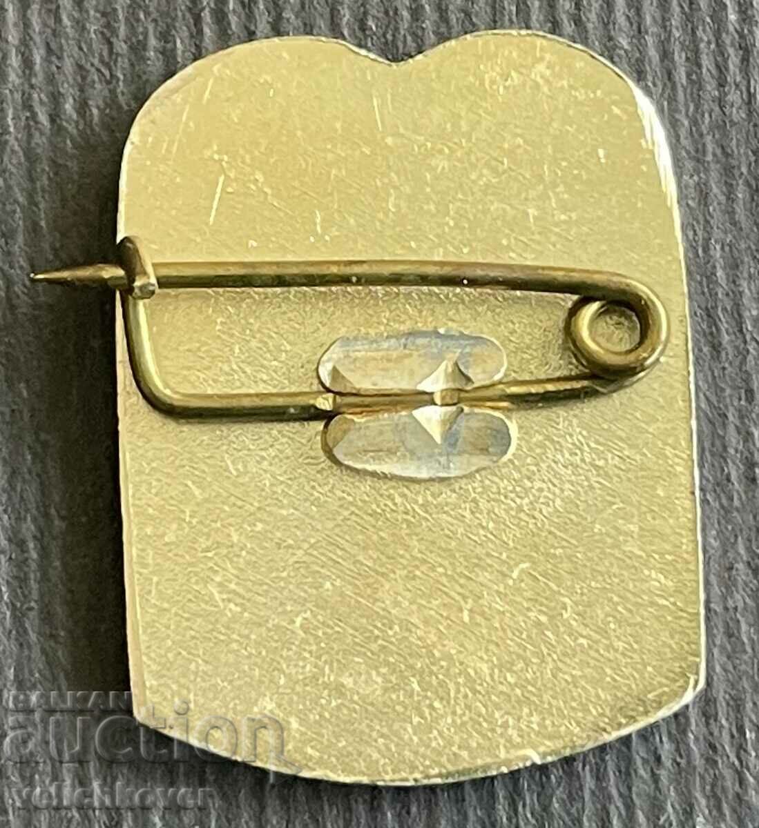 38294 Bulgaria sign coat of arms city of Hisar with price 3.00 BGN | € 1.53 38294 Bulgaria sign coat of arms city of Hisar with price 3.00 BGN | € 1.53