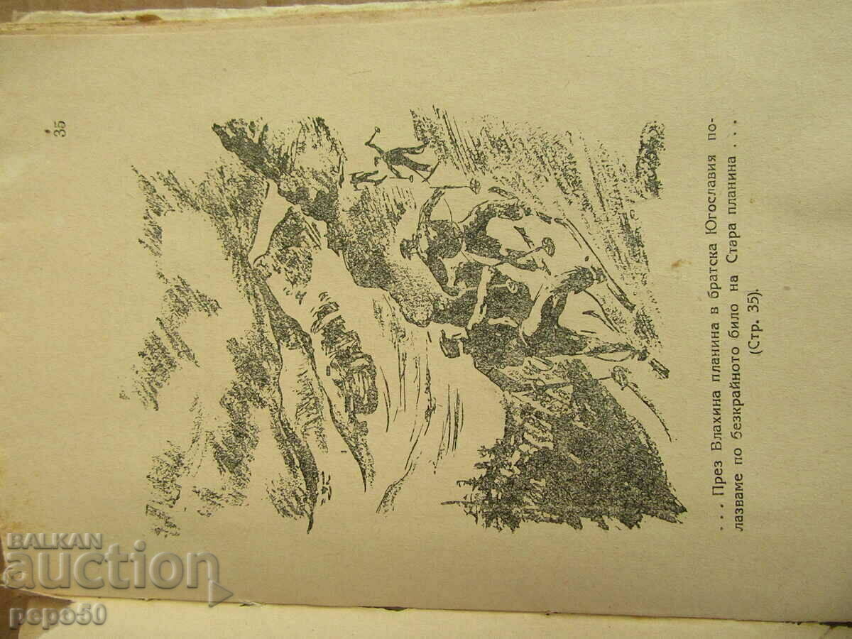 Delivery of MOUNTAIN FIRSTS - P. Deliradev - 1946. Delivery of MOUNTAIN FIRSTS - P. Deliradev - 1946.