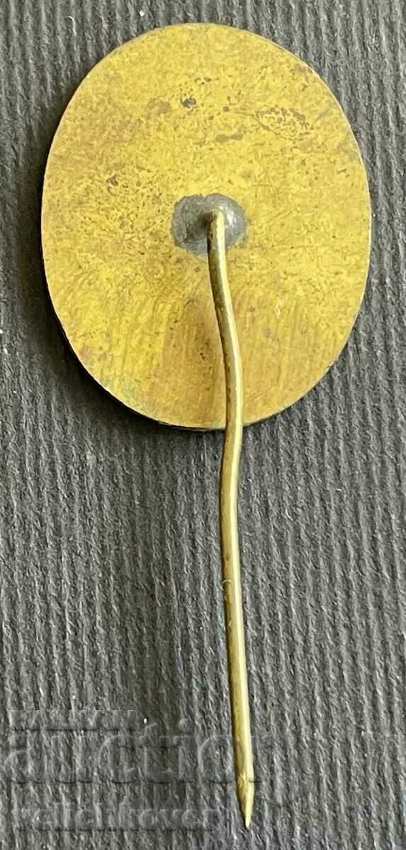 38315 Bulgaria award badge Environmentalist with price 4.00 BGN | € 2.05 38315 Bulgaria award badge Environmentalist with price 4.00 BGN | € 2.05