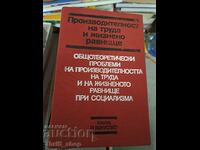 Производителност на труда и жизнено равнище Общотеоретически