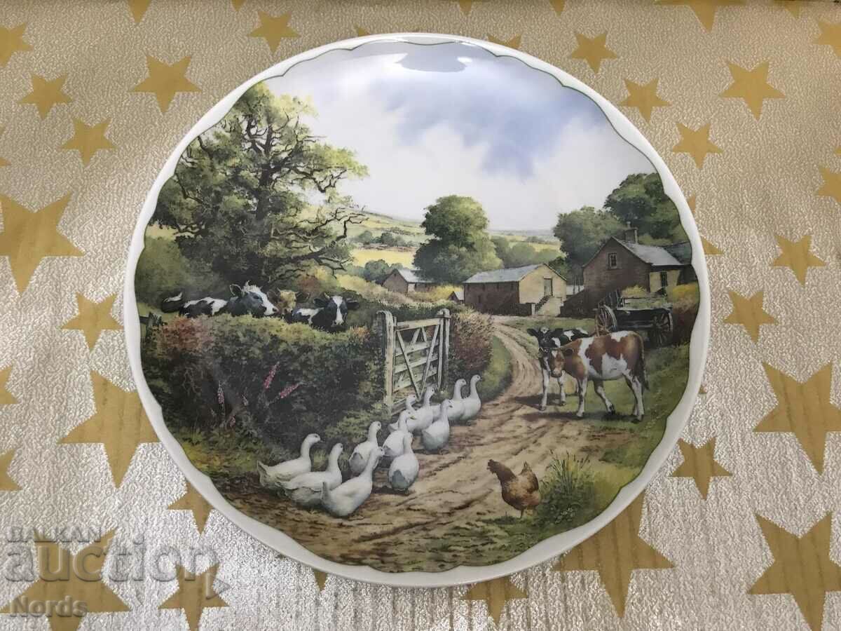 Beautiful porcelain plate for collection