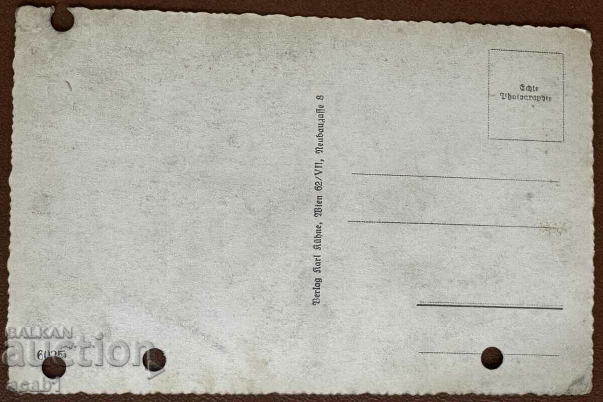 Vienna Ferris wheel "Monster Wheel" with price 14.99 BGN | € 7.66 Vienna Ferris wheel "Monster Wheel" with price 14.99 BGN | € 7.66