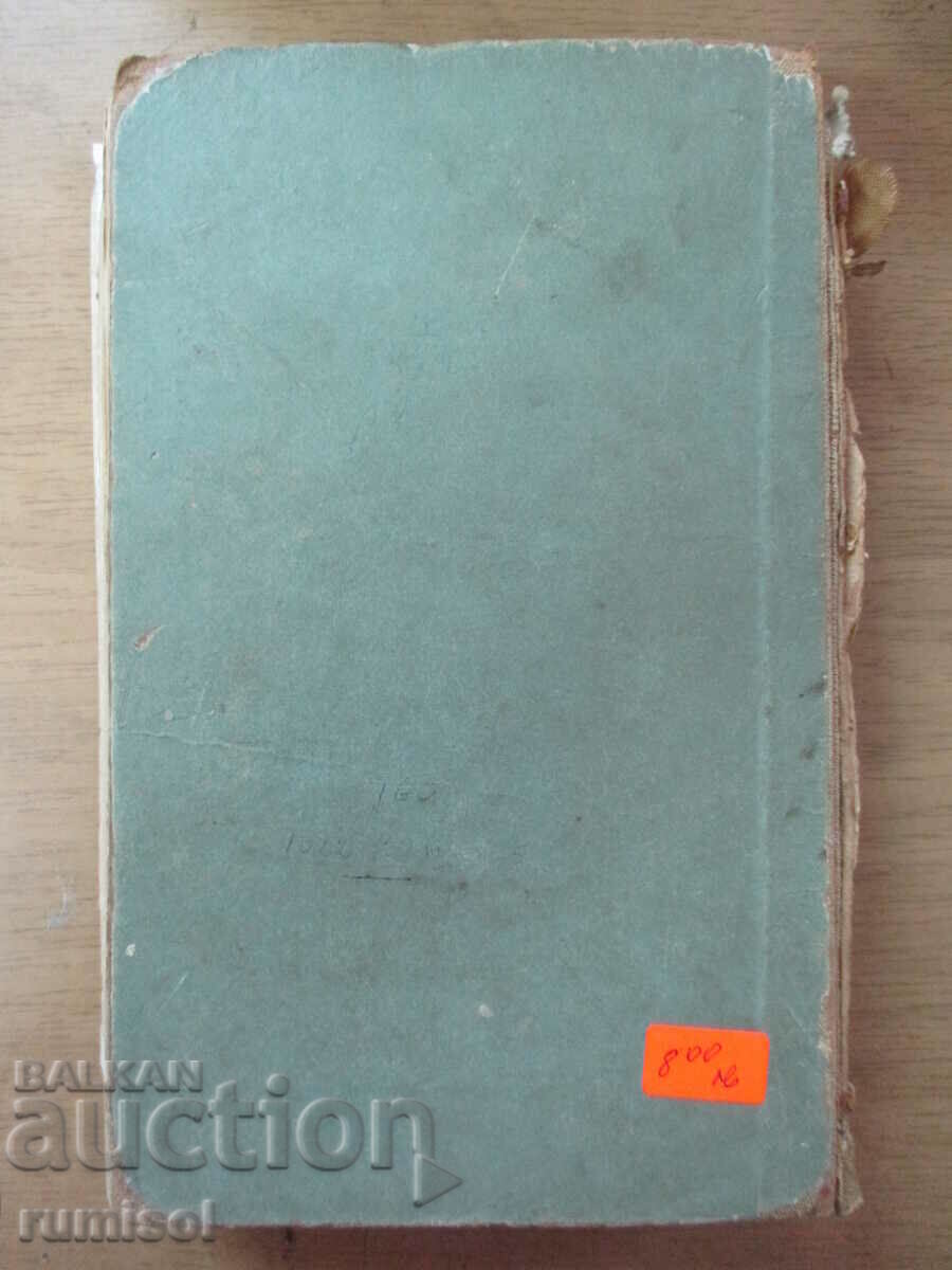 Fecioara din Paris - Victor Hugo - 7