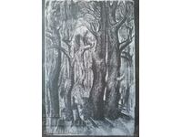 Picture, drawing, forest BZC