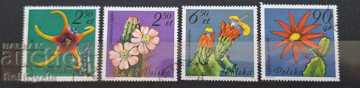 ✅ SERIE DE MARMIE POSTALE - FLORA ❗