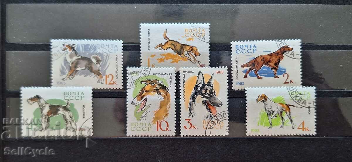 ✅ PURE SERIES OF POSTAGE STAMPS - DOGS ❗