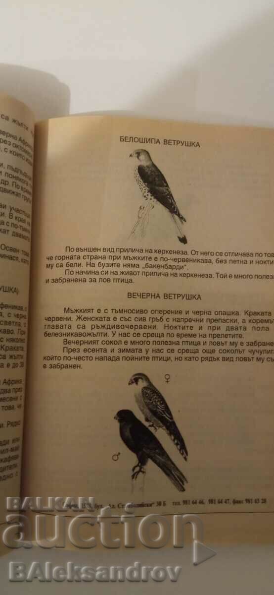 Cartea Tânărul Vânător cu preț 16.00 BGN | € 8.18 Cartea Tânărul Vânător cu preț 16.00 BGN | € 8.18