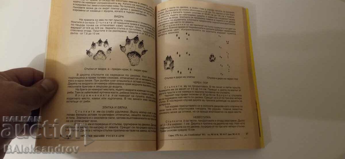 Licitație Cartea Tânărul Vânător Licitație Cartea Tânărul Vânător