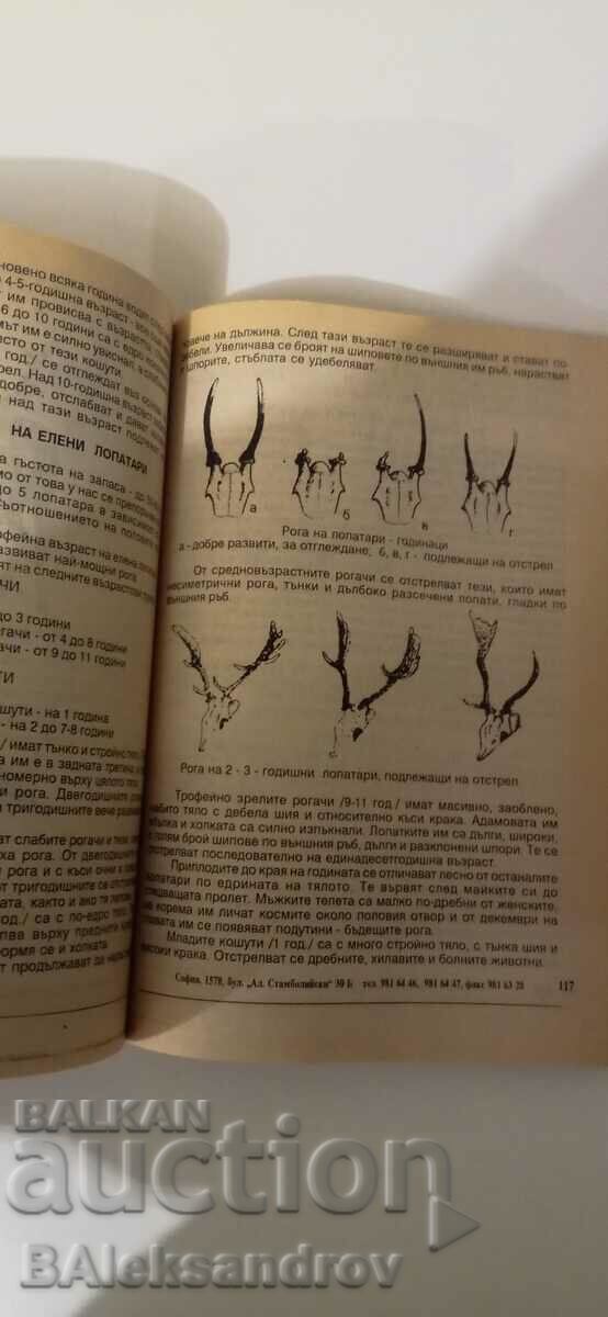 Cartea Tânărul Vânător - 6 Cartea Tânărul Vânător - 6