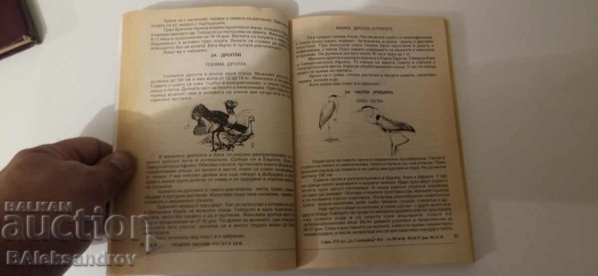 Cartea Tânărul Vânător - 7 Cartea Tânărul Vânător - 7