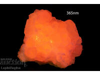 Manganocalcit din Bulgaria 266g fluorescent