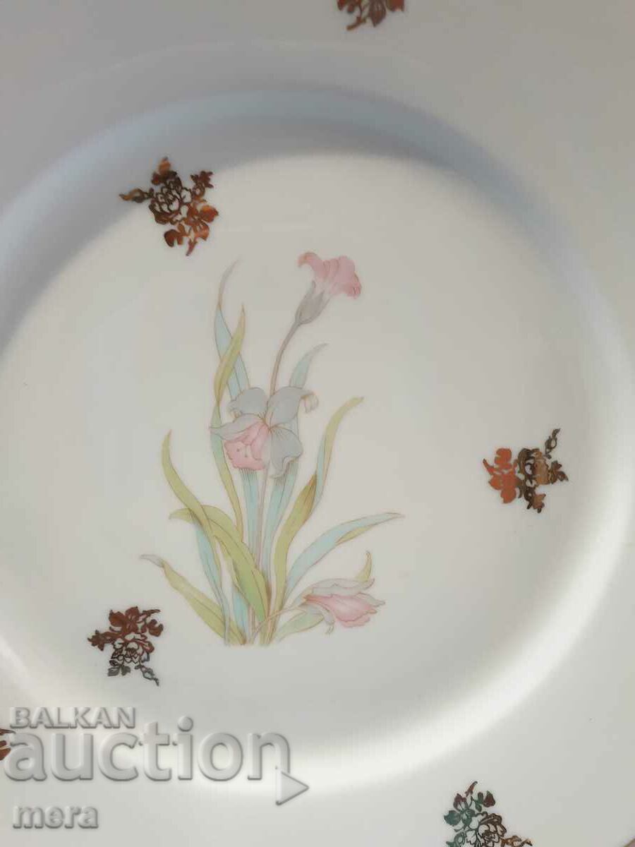 Large porcelain plate-tray-Limoges - 5