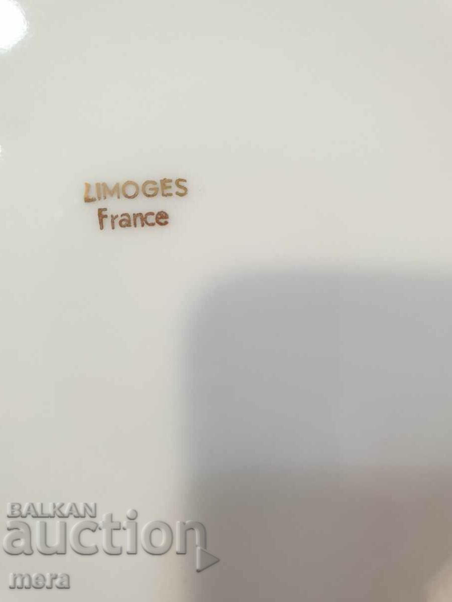 Large porcelain plate-tray-Limoges - 6