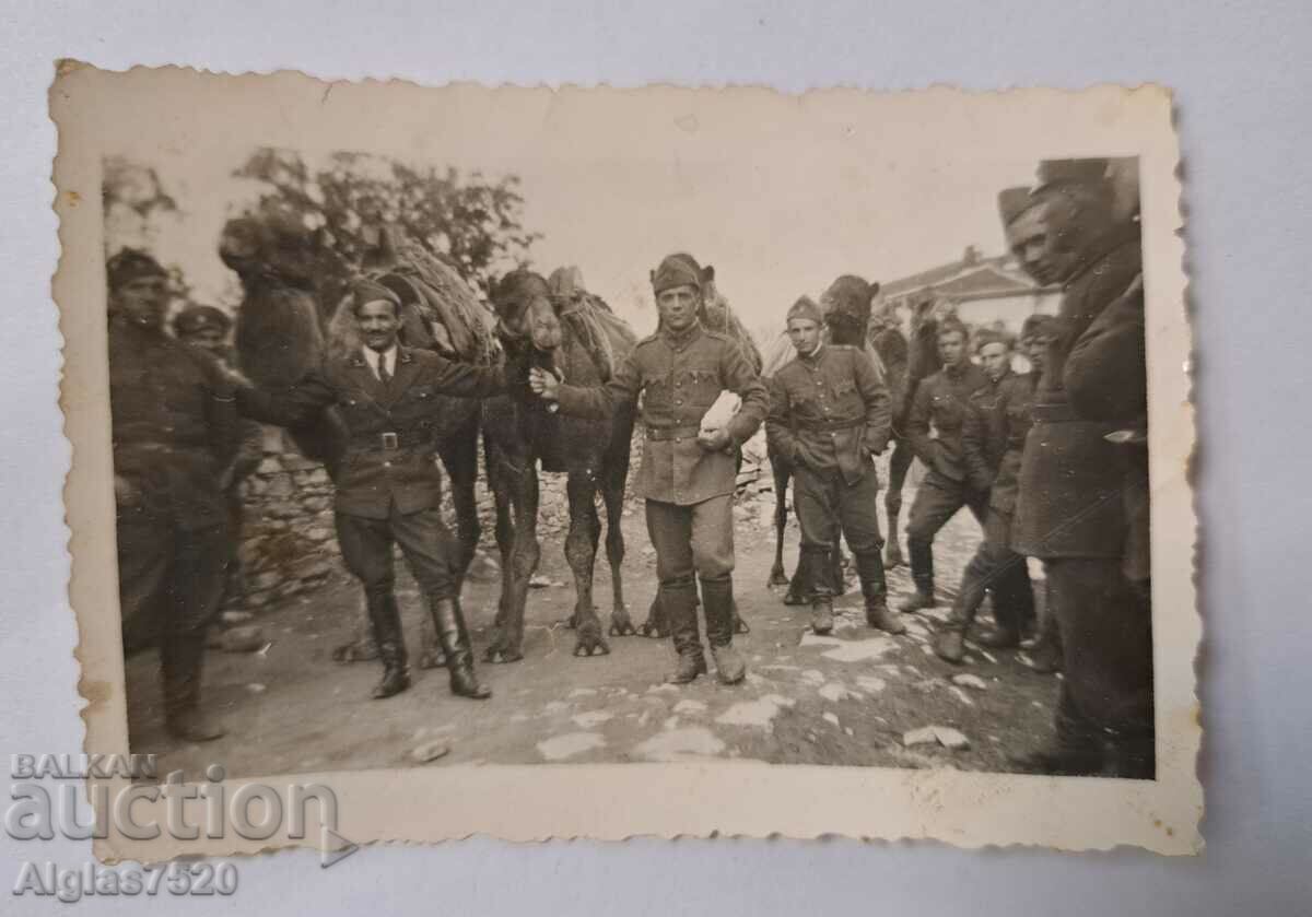 Παλιά φωτογραφία - Βούλγαροι στρατιώτες με καμήλες/ εξαιρετική φωτογραφία