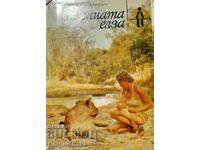 Elsa the Lioness - Joy Adamson