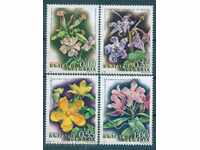 4742 Bulgaria 2006 - FLORA STRANDZHANY PLANTS **