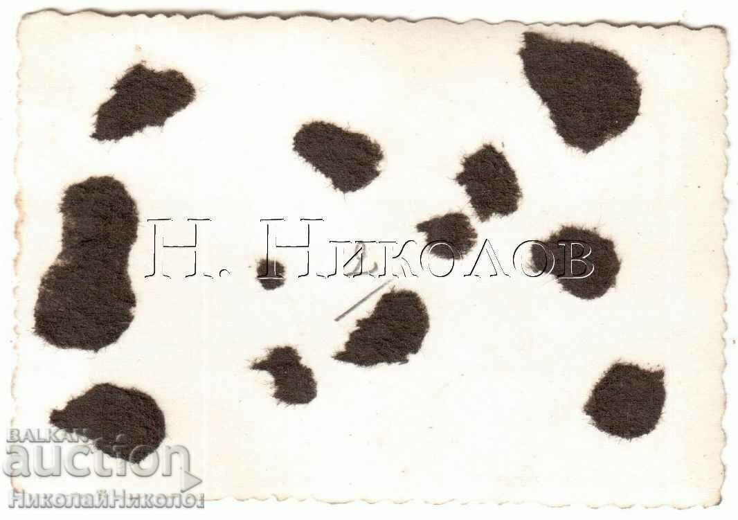 MICĂ FOTO VECHE CÂND VAGOUL SE ÎNTOARCE... G979 cu preț € 2.00 | 3.91 BGN