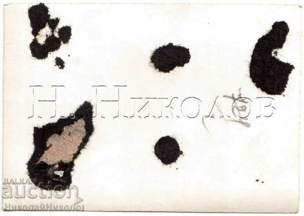 FOTO MICI VECHI TINERI BRIGADIERI G981 cu preț € 1.30 | 2.54 BGN FOTO MICI VECHI TINERI BRIGADIERI G981 cu preț € 1.30 | 2.54 BGN