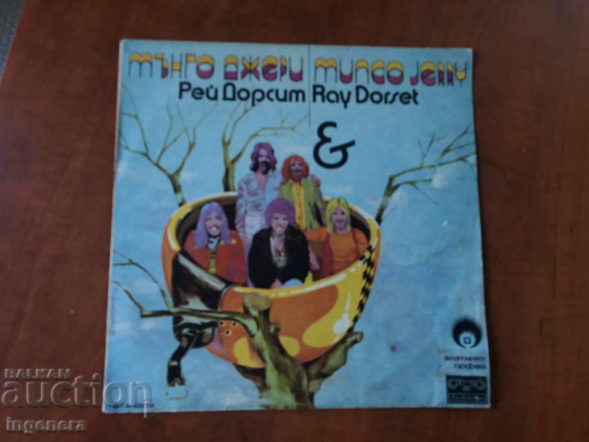 Delivery of RECORD - "MUNGO JERRY" GROUP