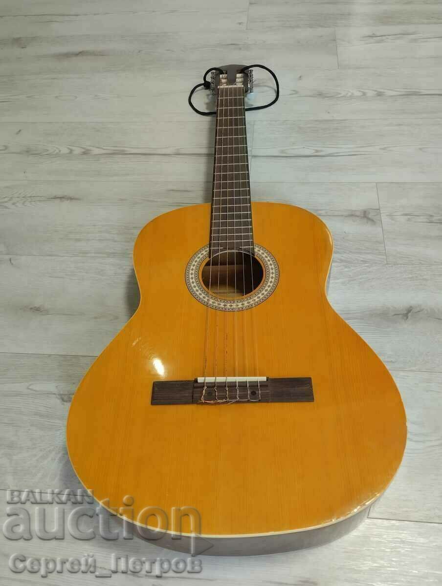 Rocio 20 Classical Guitar