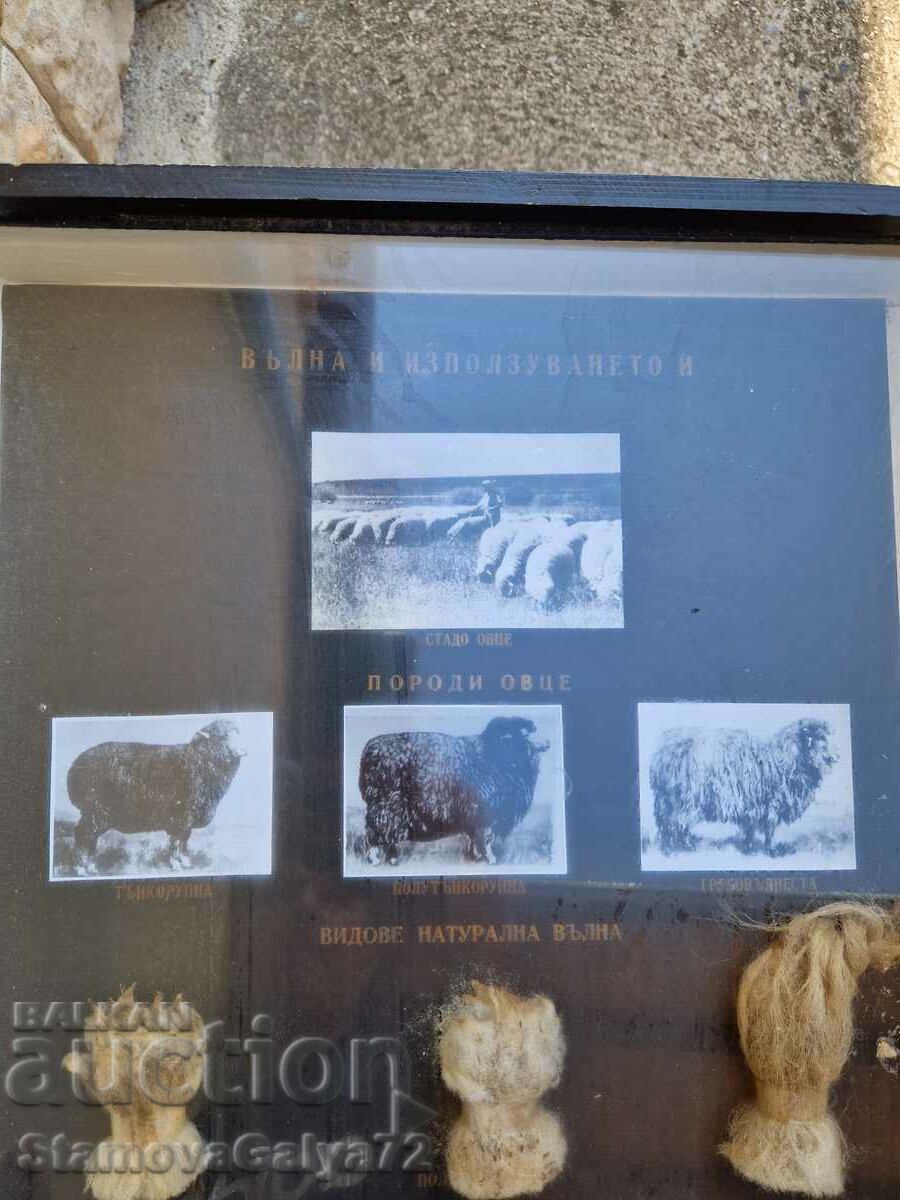 Страхотен антикварен постер табло макет - 6 Страхотен антикварен постер табло макет - 6