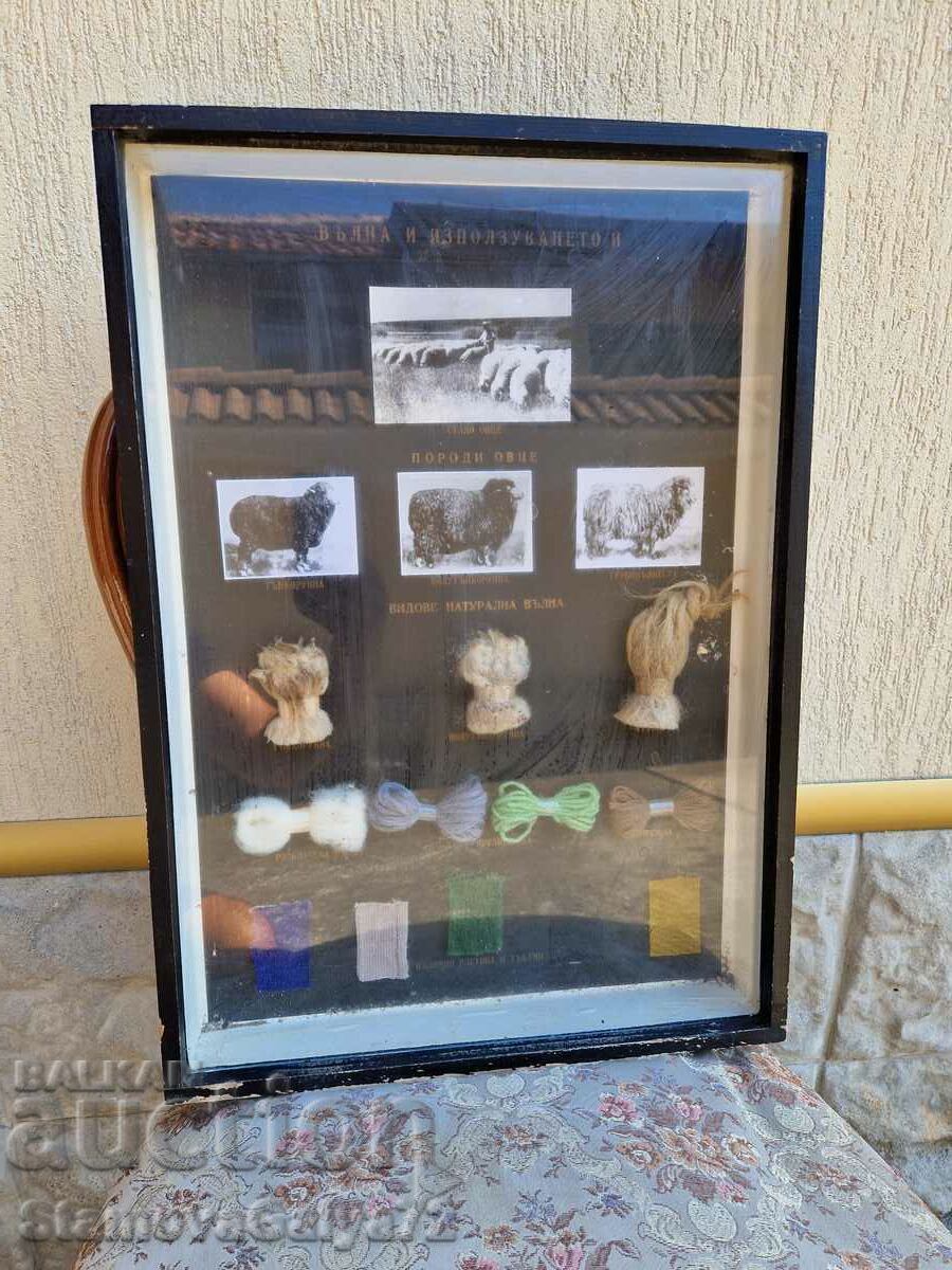 Machetă minunată de panou de afiș antic Machetă minunată de panou de afiș antic