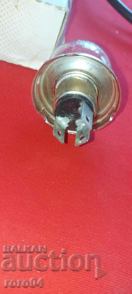 Auction LADA - GIGULA - BULB - NEW Auction LADA - GIGULA - BULB - NEW