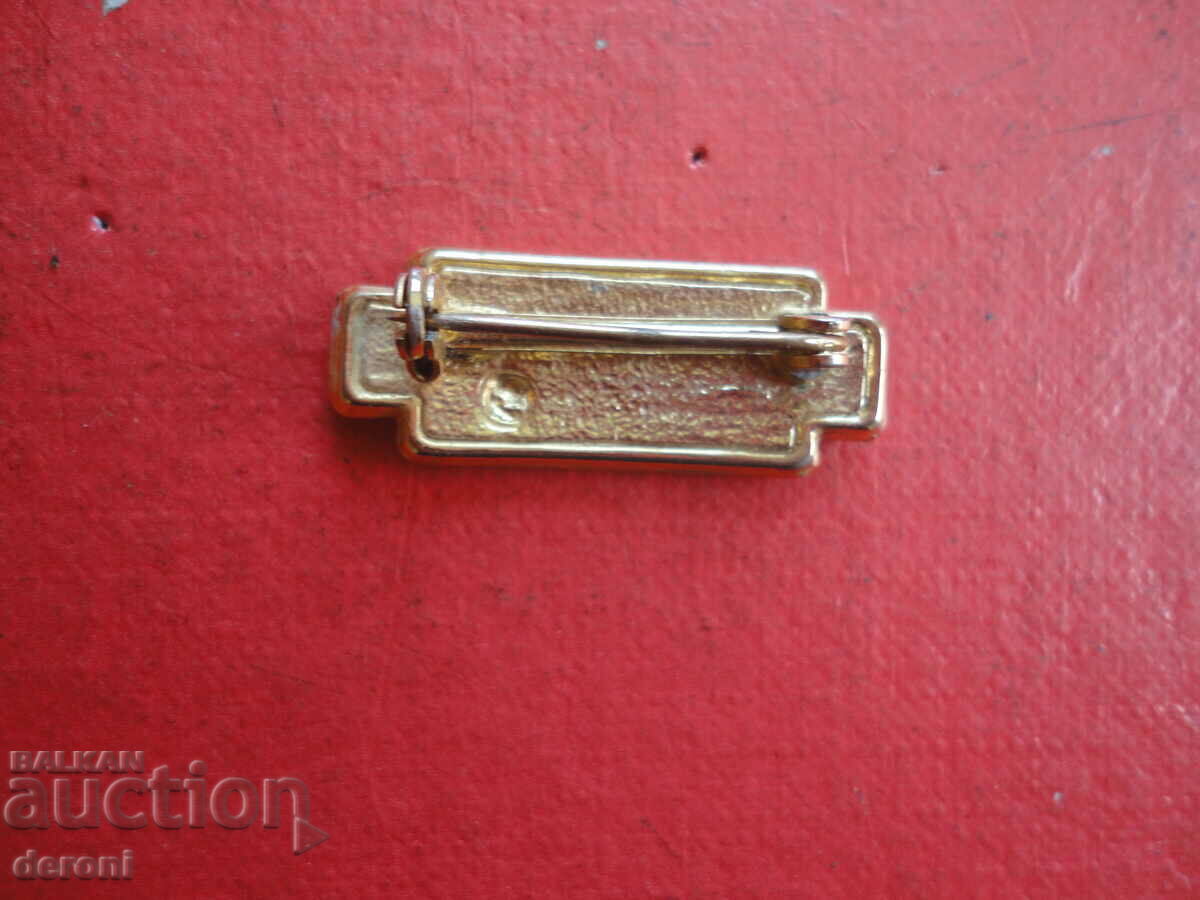 Delivery of Gold-plated brooch with stones and enamel 85 Delivery of Gold-plated brooch with stones and enamel 85