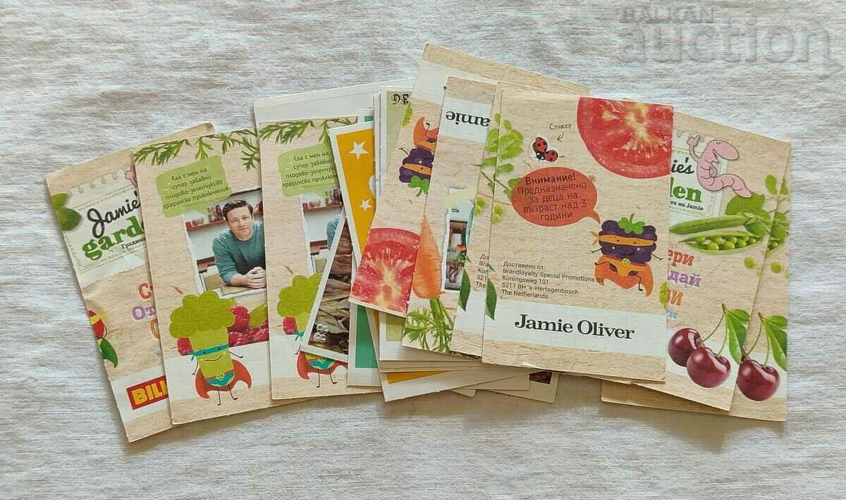 JAMIE'S GARDEN ALBUM - 7 JAMIE'S GARDEN ALBUM - 7