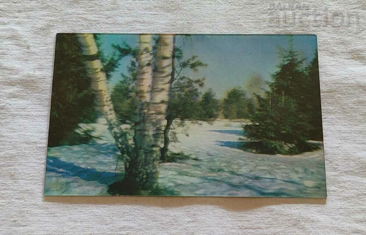 3D СТЕРЕО ЗИМЕН ПЕЙЗАЖ СССР 1976 г. П.К.