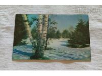 3D STEREO WINTER LANDSCAPE USSR 1976 P.K.