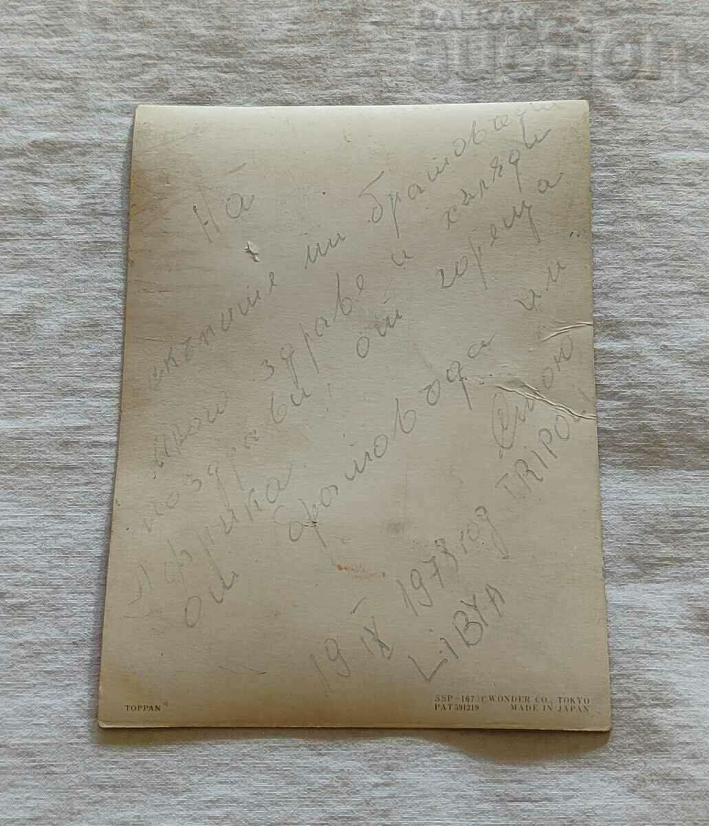 Delivery of 3D STEREO BLINKING GIRL TOPPAN JAPAN 1978 P.K. Delivery of 3D STEREO BLINKING GIRL TOPPAN JAPAN 1978 P.K.